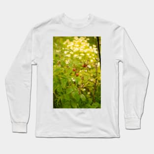 blb red raspberry - 2 Long Sleeve T-Shirt